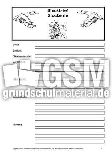 Vorlage-Steckbrief-Stockente-Seite-1.pdf
